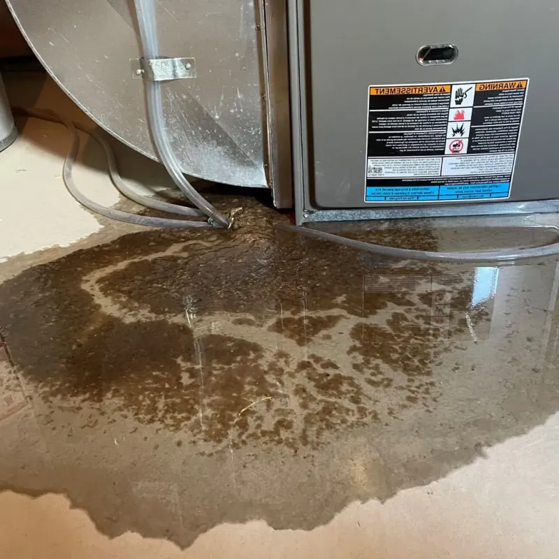 Pipe Burst and Leak Restoration in Mineral Springs, AR
